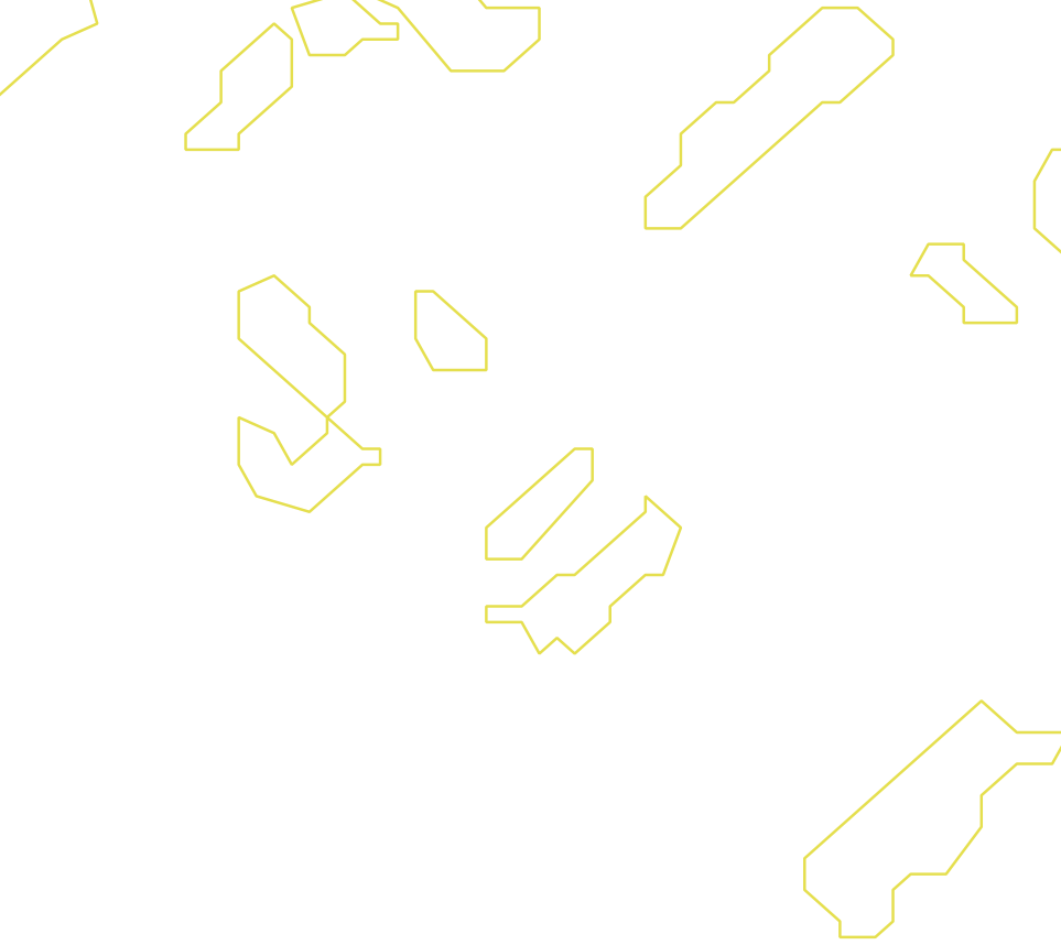 Daksegment ingezoomd met contourlijnen en structuurweergave