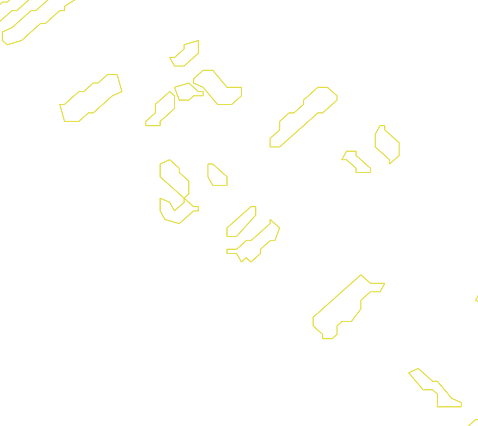 Daksegment met contourlijnen en structuurweergave