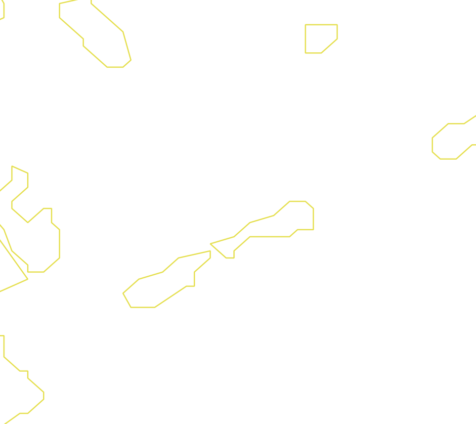 Daksegment ingezoomd met contourlijnen en structuurweergave