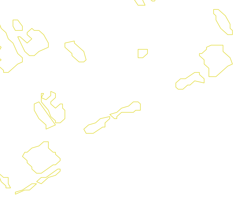 Daksegment met contourlijnen en structuurweergave