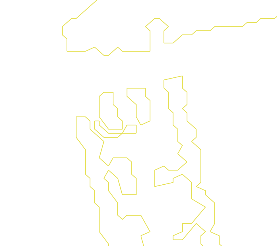 Daksegment ingezoomd met contourlijnen en structuurweergave