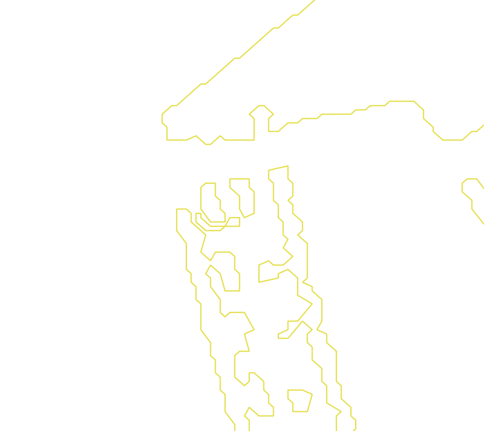 Daksegment met contourlijnen en structuurweergave