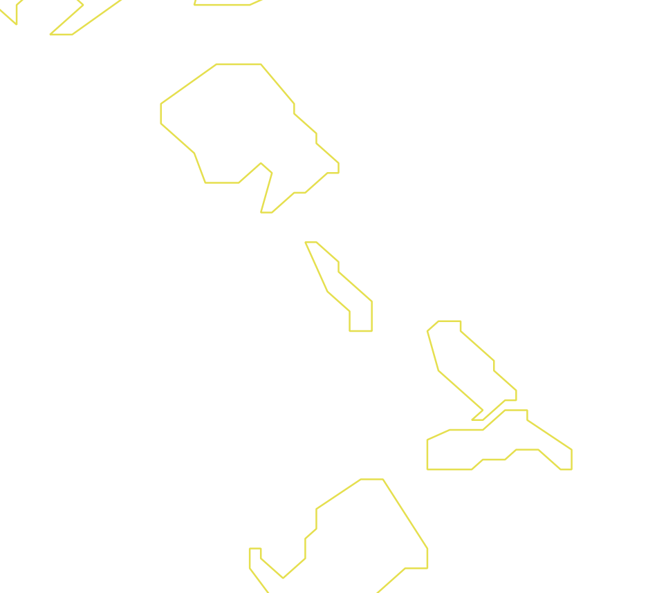 Daksegment ingezoomd met contourlijnen en structuurweergave