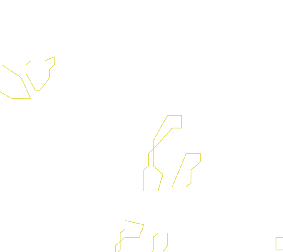 Daksegment ingezoomd met contourlijnen en structuurweergave