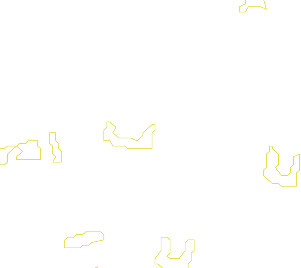 Daksegment met contourlijnen en structuurweergave