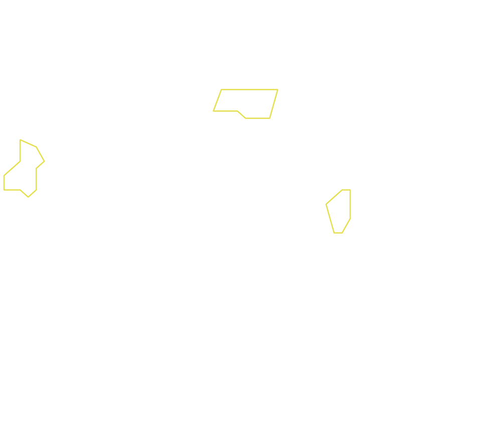 Daksegment ingezoomd met contourlijnen en structuurweergave