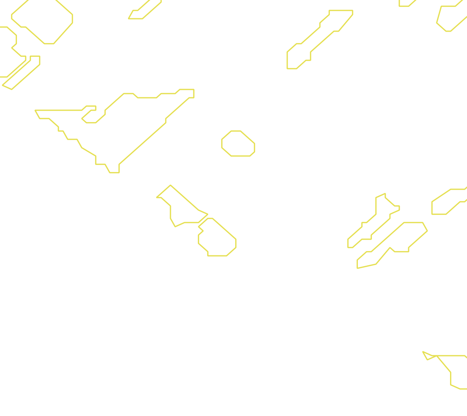 Daksegment met contourlijnen en structuurweergave