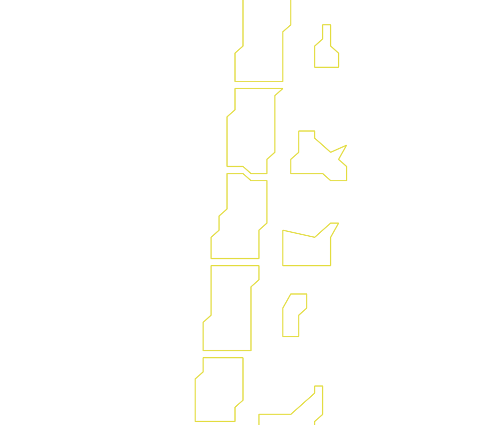 Daksegment ingezoomd met contourlijnen en structuurweergave
