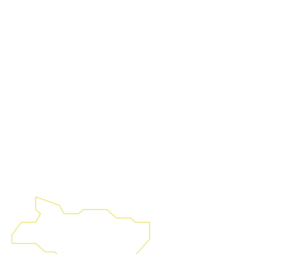 Daksegment ingezoomd met contourlijnen en structuurweergave
