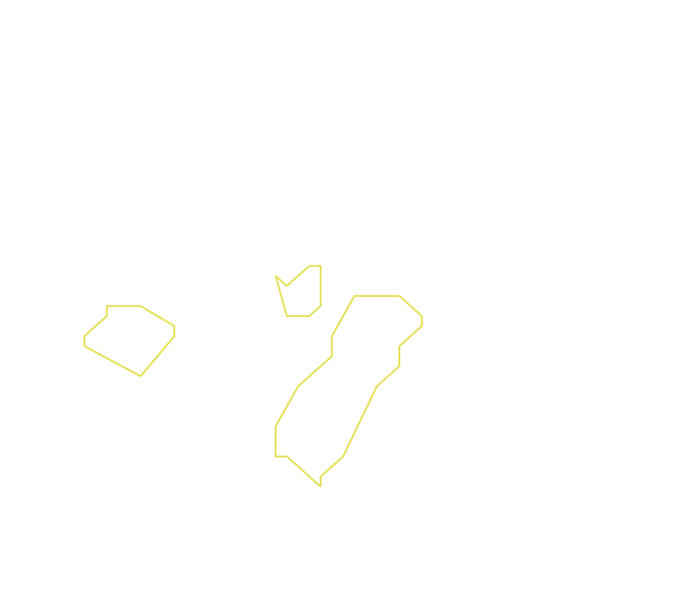 Daksegment ingezoomd met contourlijnen en structuurweergave
