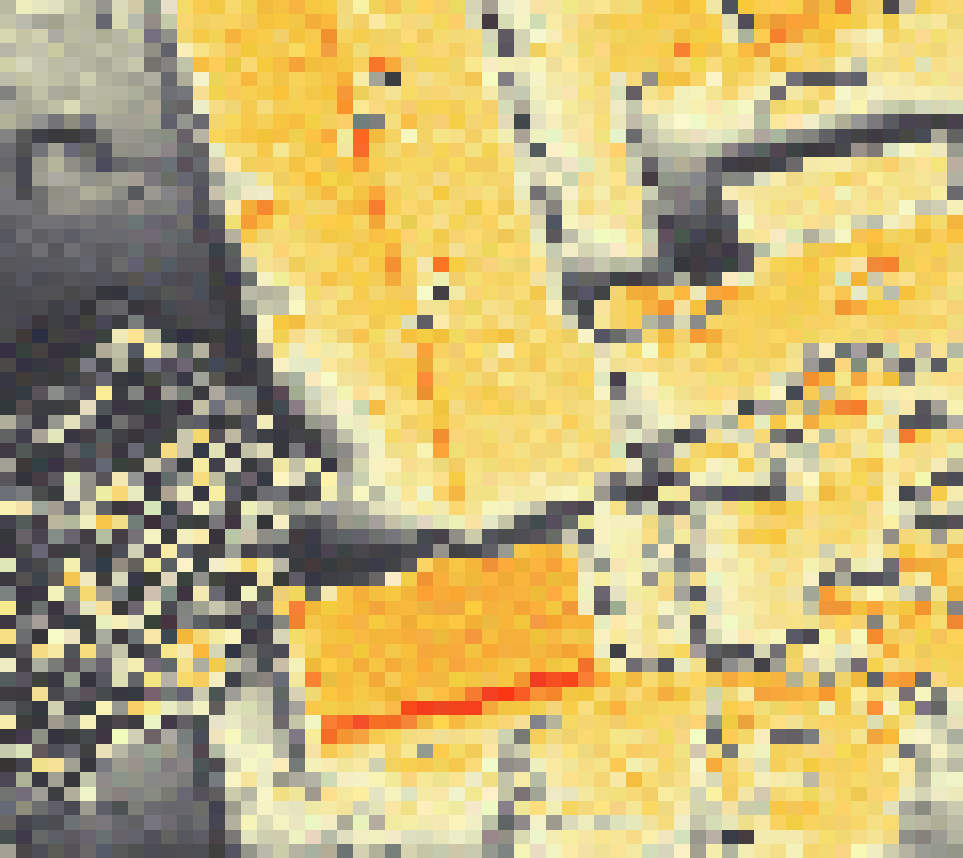 PV-irradiatie op daksegment ingezoomd met intensiteitsverdeling van zonlicht