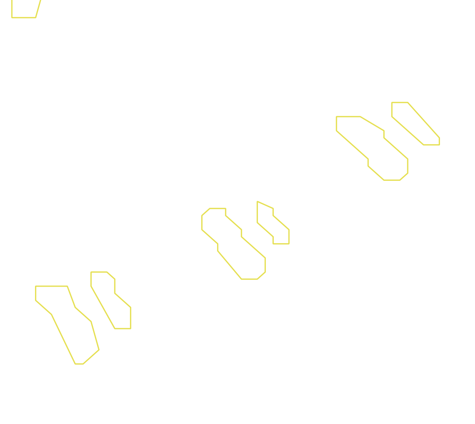 Daksegment ingezoomd met contourlijnen en structuurweergave