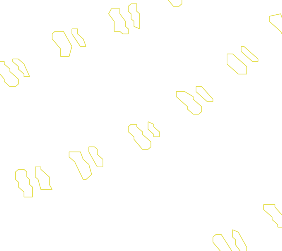 Daksegment met contourlijnen en structuurweergave