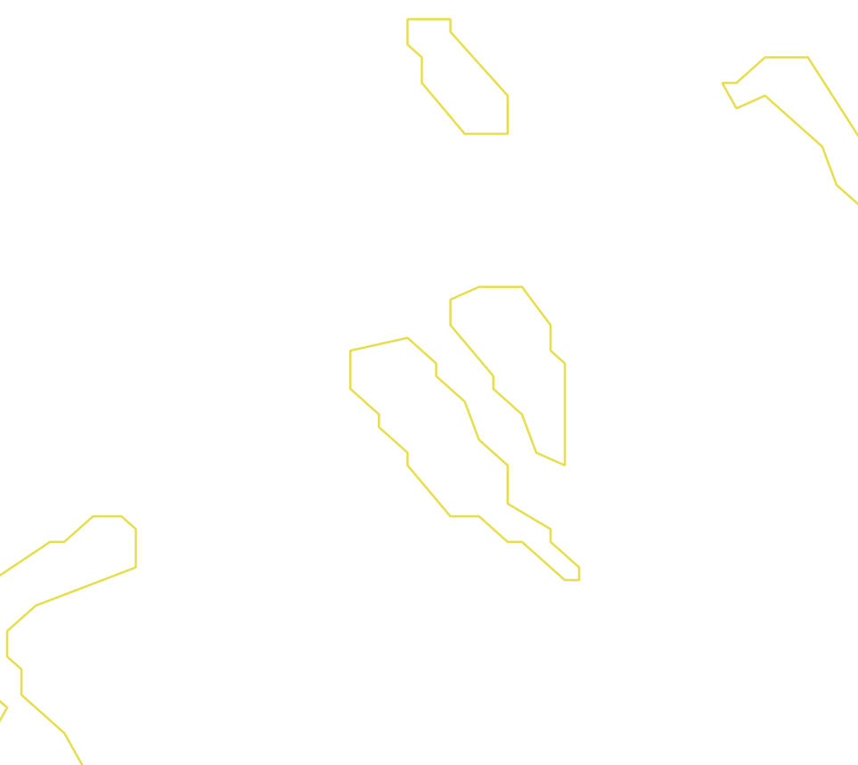 Daksegment ingezoomd met contourlijnen en structuurweergave