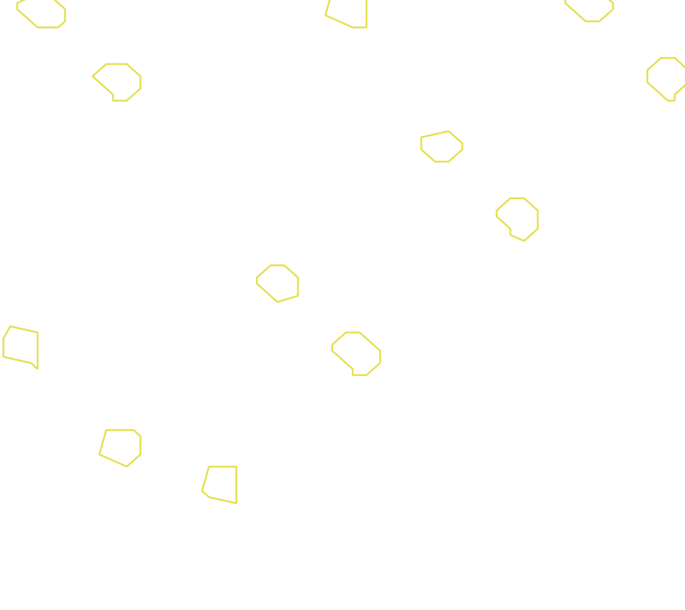 Daksegment met contourlijnen en structuurweergave