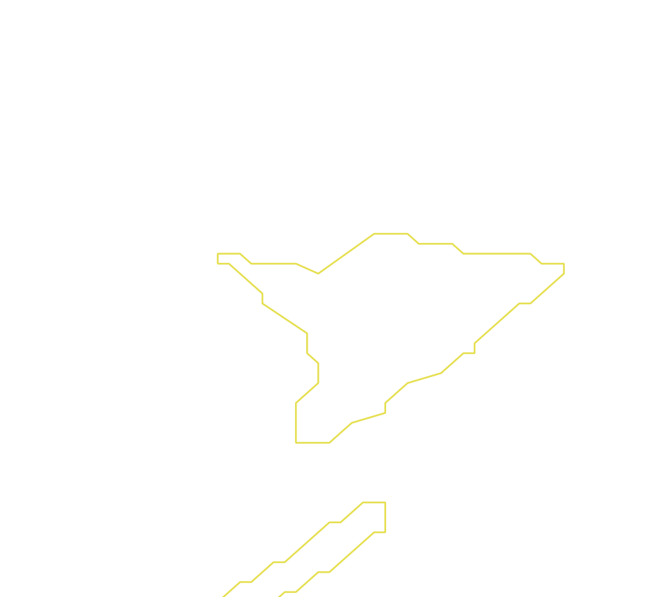 Daksegment ingezoomd met contourlijnen en structuurweergave