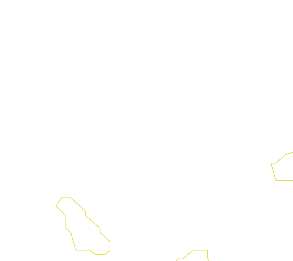Daksegment ingezoomd met contourlijnen en structuurweergave