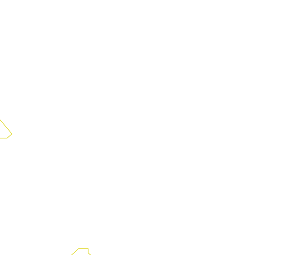 Daksegment ingezoomd met contourlijnen en structuurweergave