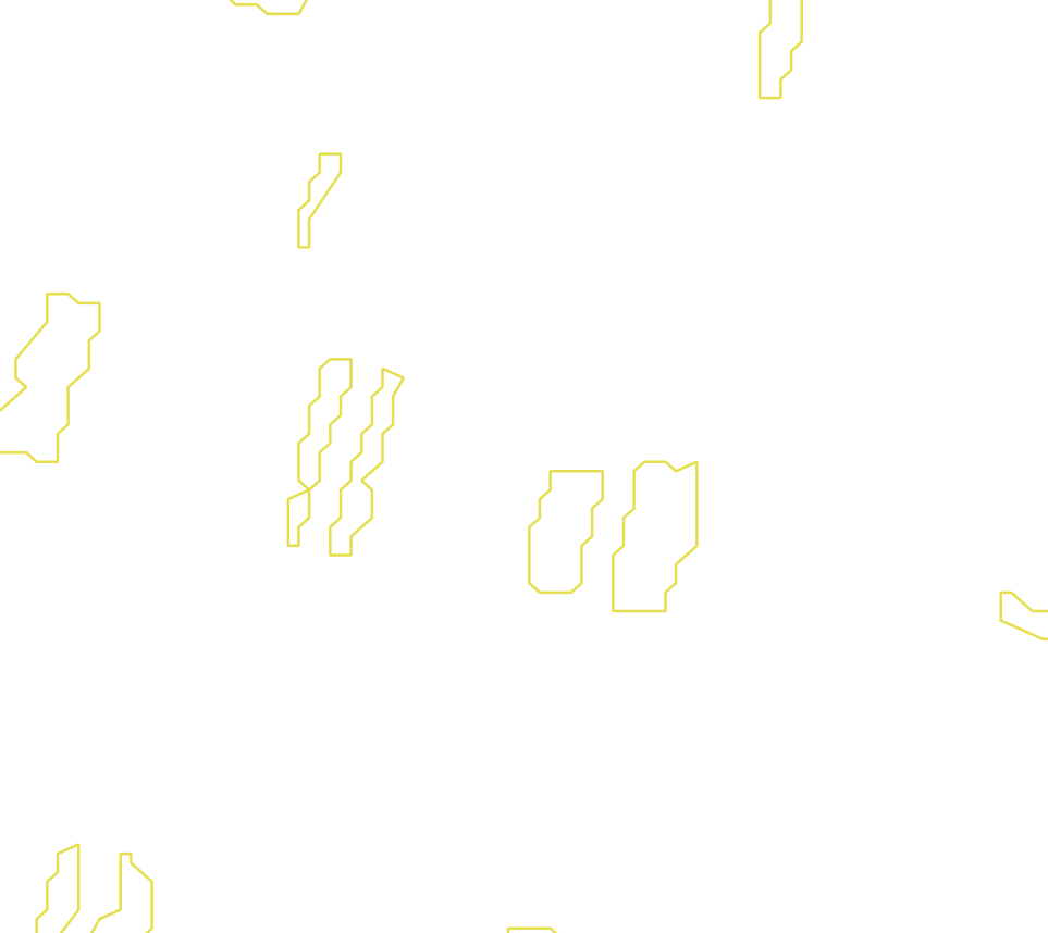 Daksegment met contourlijnen en structuurweergave