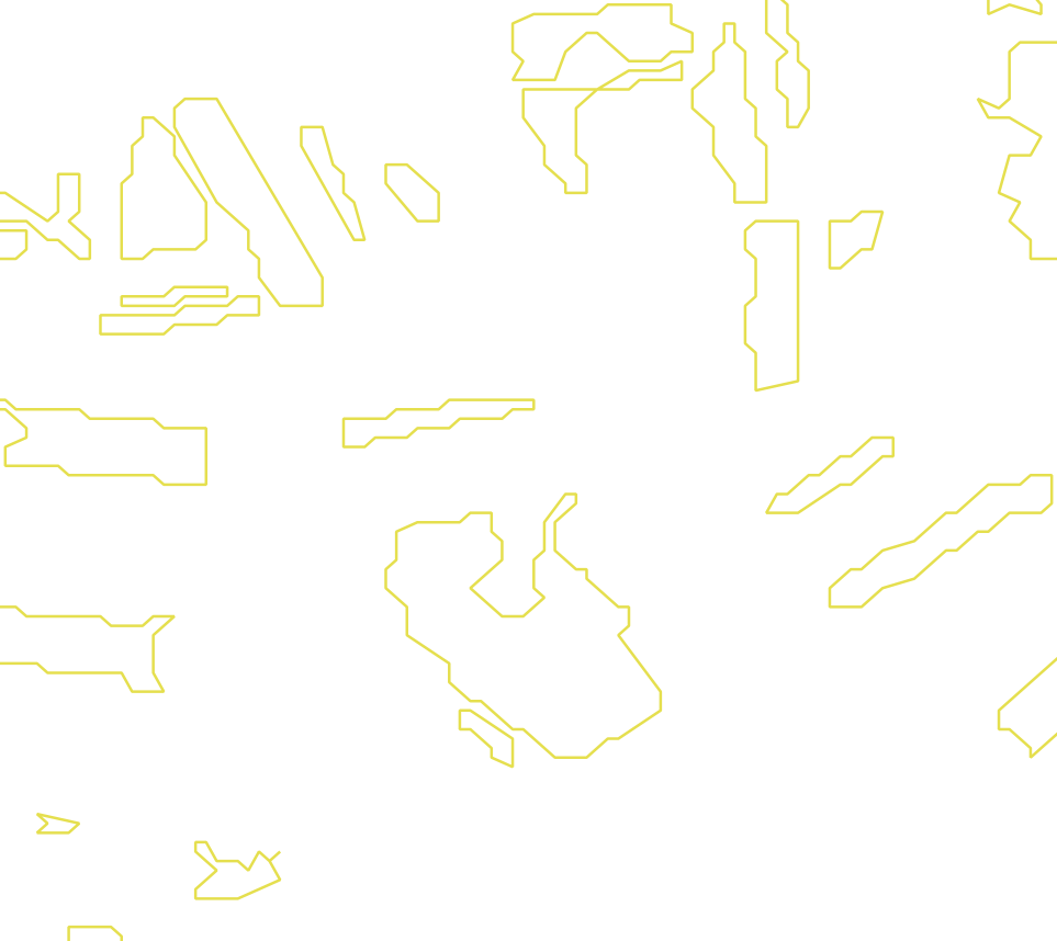 Daksegment met contourlijnen en structuurweergave