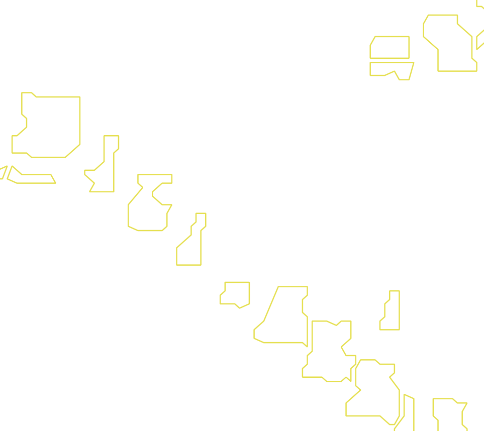 Daksegment met contourlijnen en structuurweergave