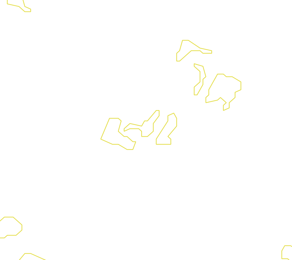 Daksegment met contourlijnen en structuurweergave