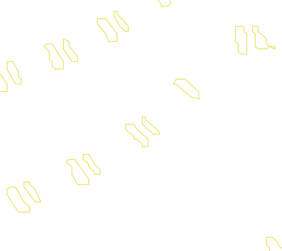 Daksegment met contourlijnen en structuurweergave