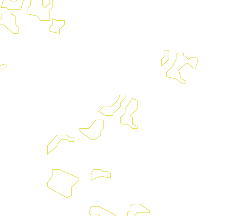 Daksegment met contourlijnen en structuurweergave