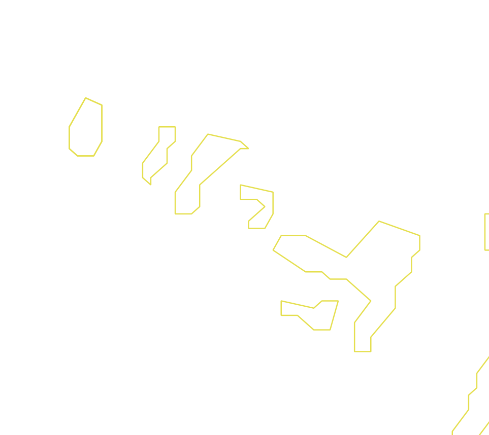 Daksegment ingezoomd met contourlijnen en structuurweergave