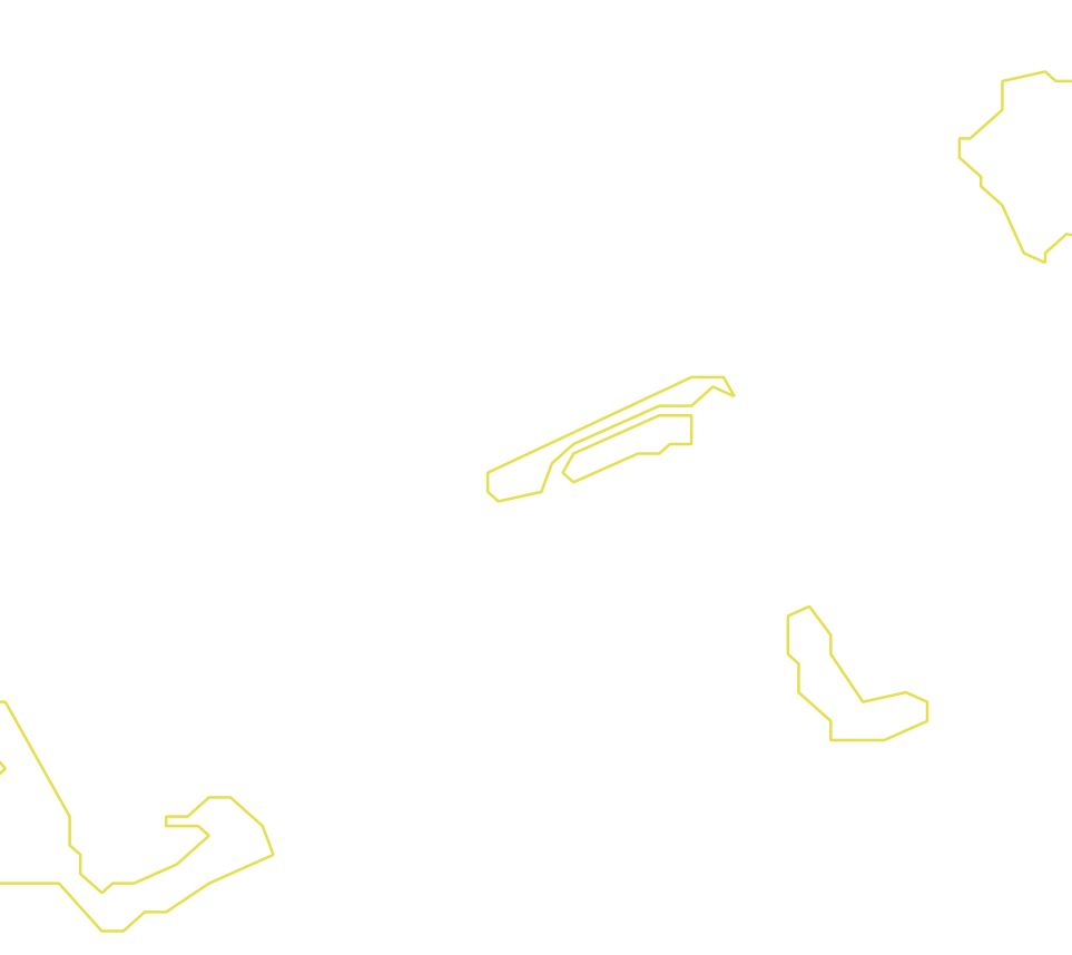 Daksegment met contourlijnen en structuurweergave