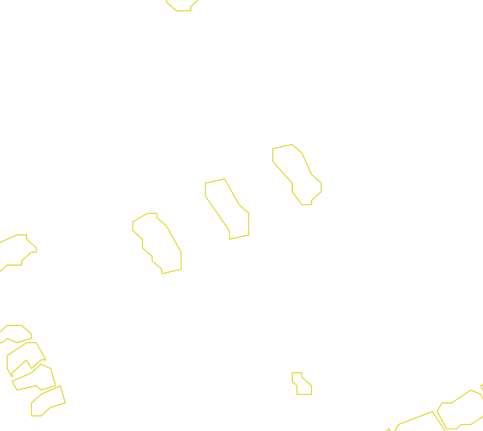 Daksegment met contourlijnen en structuurweergave