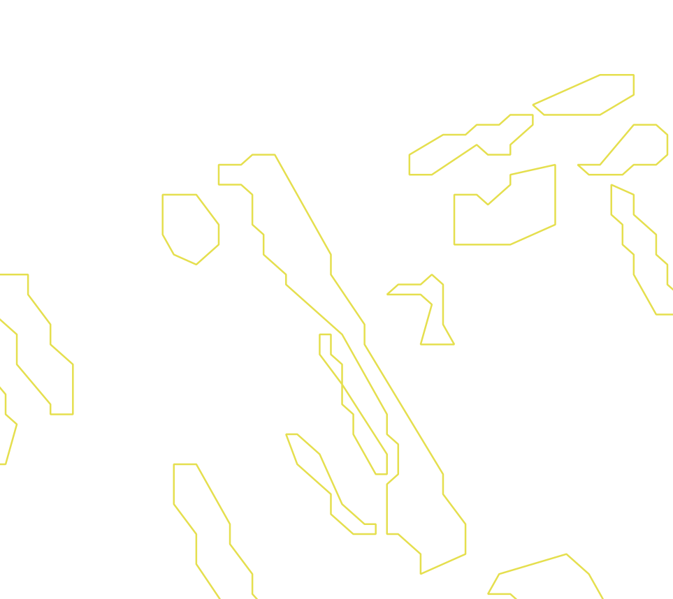 Daksegment ingezoomd met contourlijnen en structuurweergave
