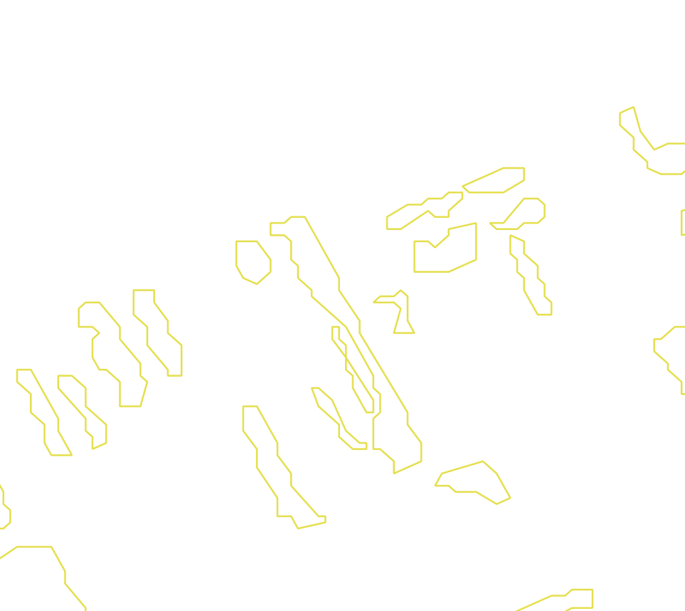 Daksegment met contourlijnen en structuurweergave