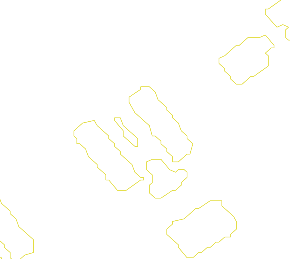Daksegment met contourlijnen en structuurweergave