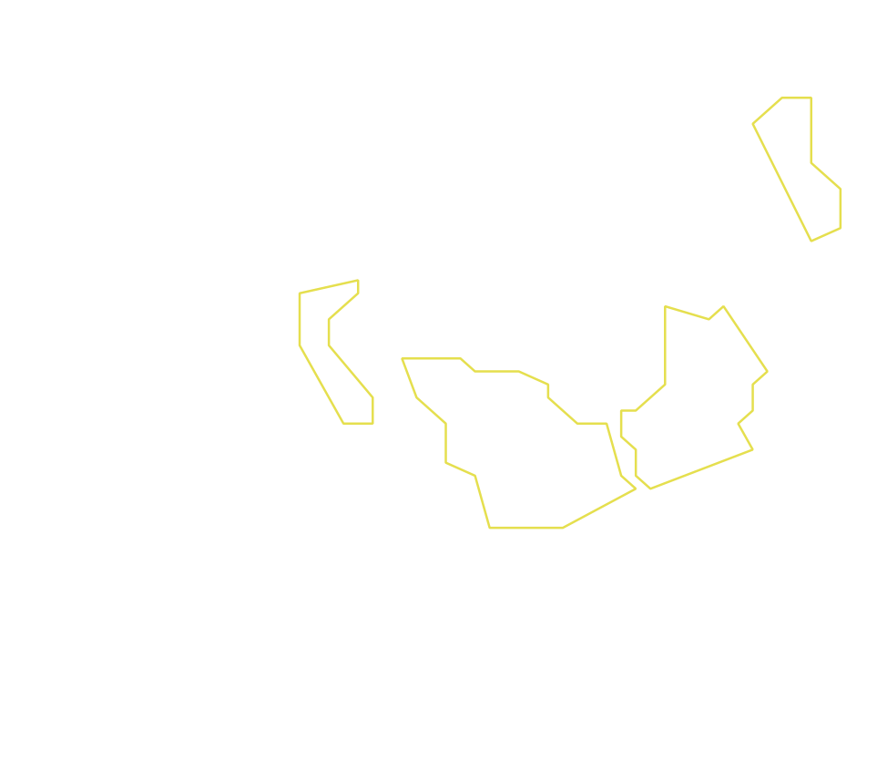 Daksegment ingezoomd met contourlijnen en structuurweergave