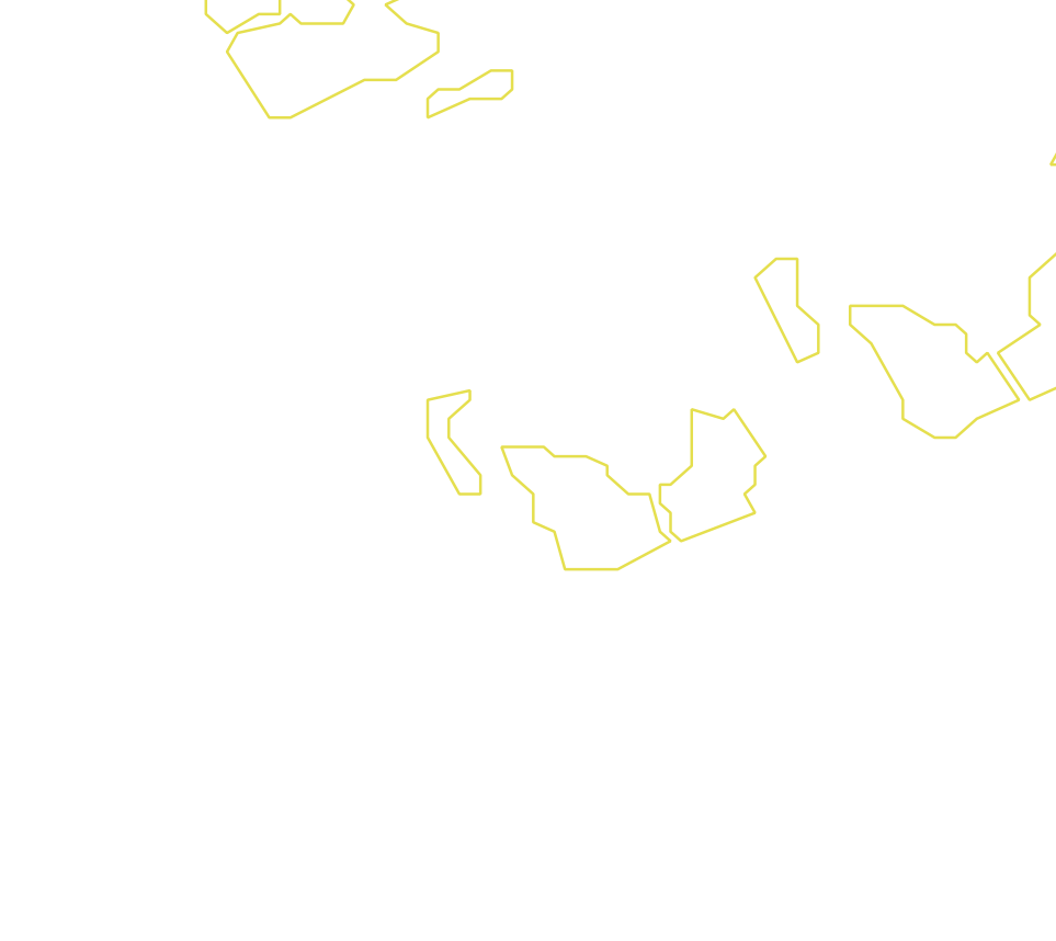 Daksegment met contourlijnen en structuurweergave