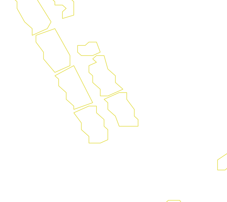 Daksegment ingezoomd met contourlijnen en structuurweergave