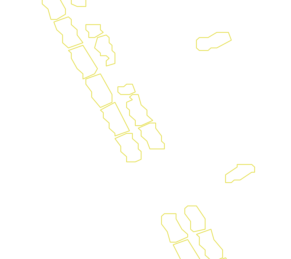 Daksegment met contourlijnen en structuurweergave