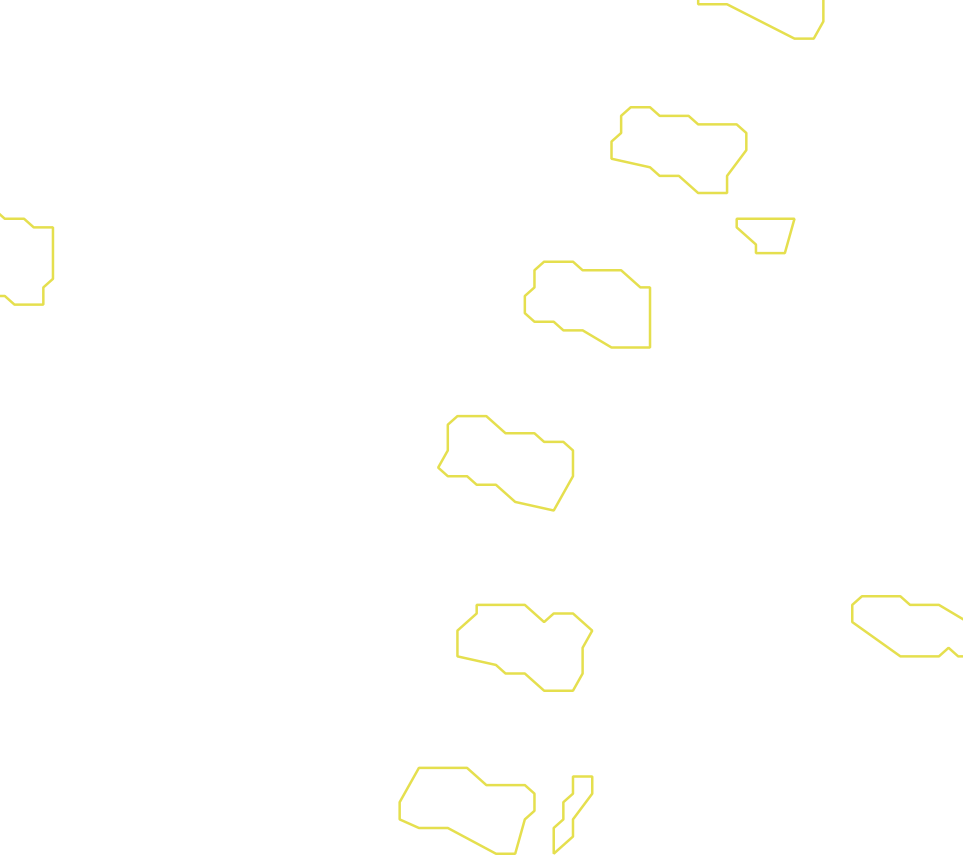 Daksegment met contourlijnen en structuurweergave