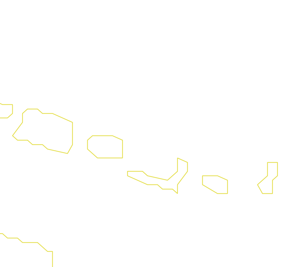 Daksegment ingezoomd met contourlijnen en structuurweergave