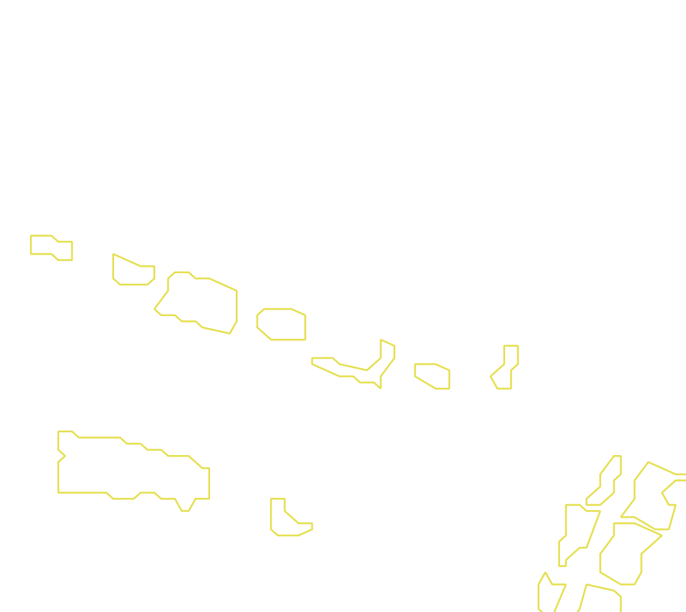 Daksegment met contourlijnen en structuurweergave