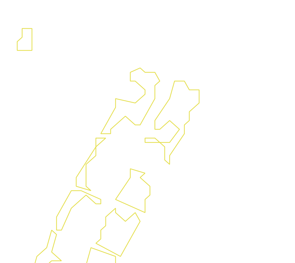 Daksegment ingezoomd met contourlijnen en structuurweergave