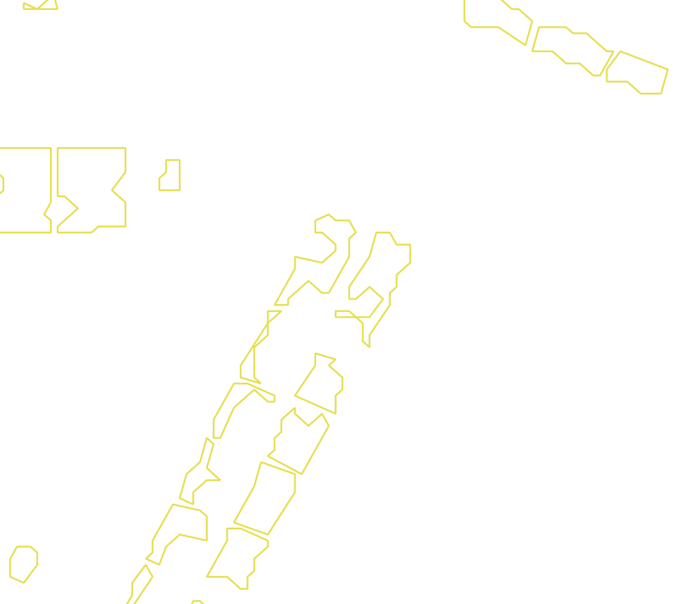 Daksegment met contourlijnen en structuurweergave