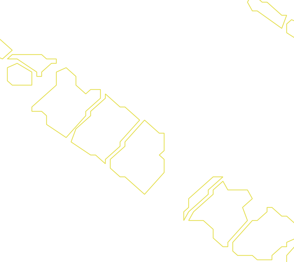 Daksegment ingezoomd met contourlijnen en structuurweergave