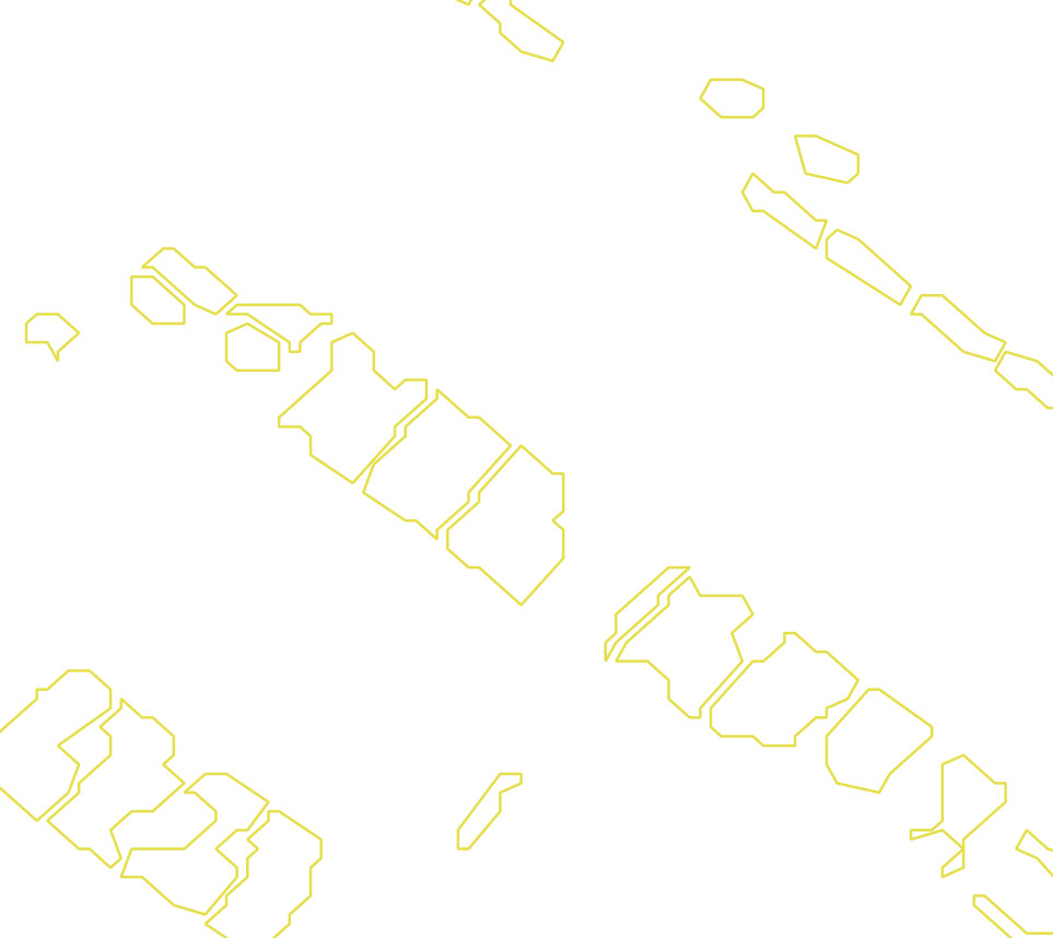 Daksegment met contourlijnen en structuurweergave