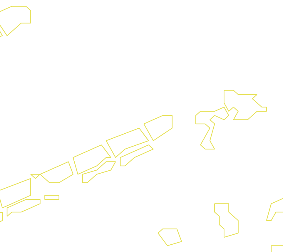 Daksegment ingezoomd met contourlijnen en structuurweergave