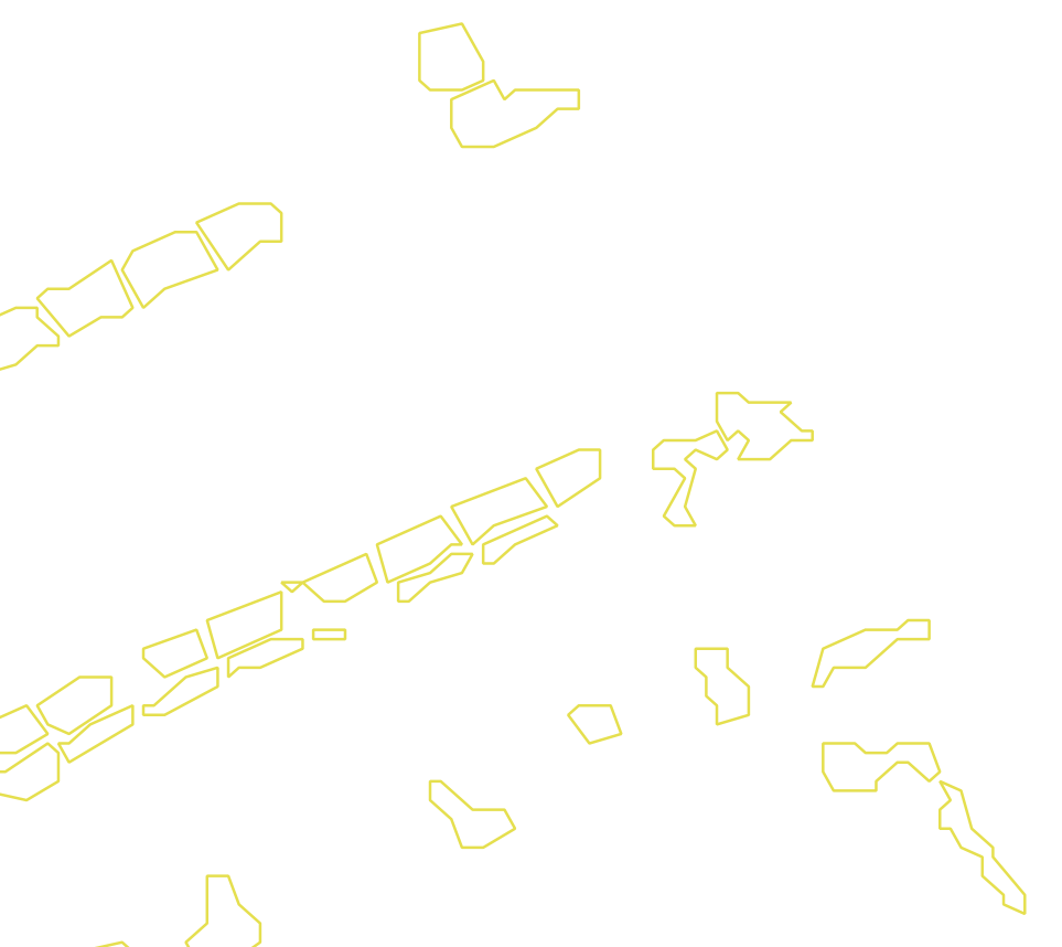 Daksegment met contourlijnen en structuurweergave