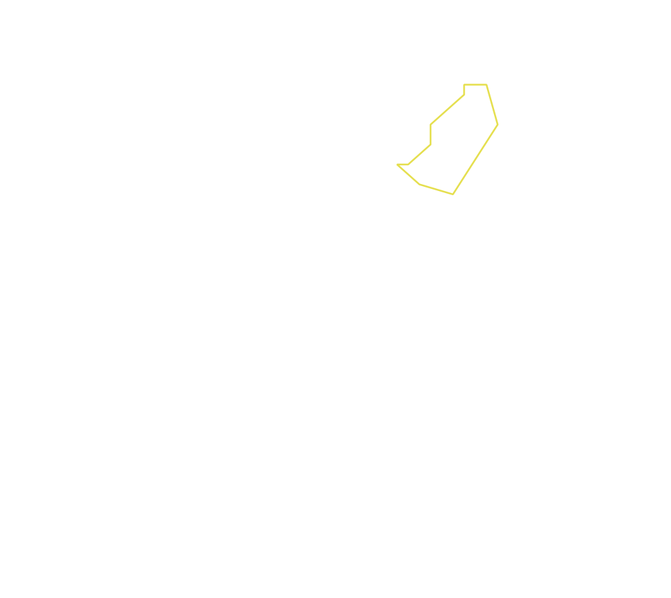 Daksegment ingezoomd met contourlijnen en structuurweergave