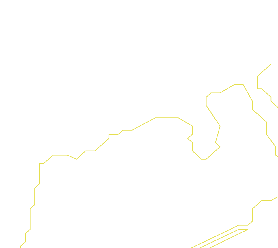 Daksegment ingezoomd met contourlijnen en structuurweergave