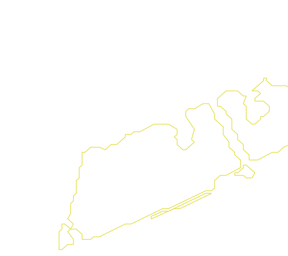 Daksegment met contourlijnen en structuurweergave